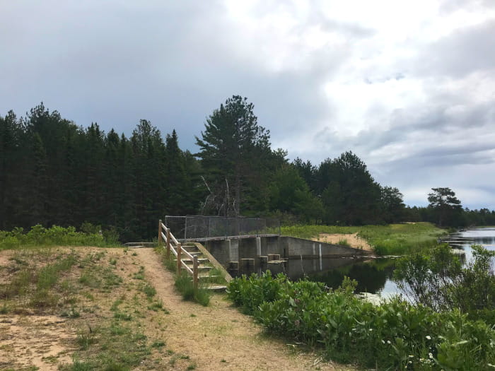 BlindSucker1Weir