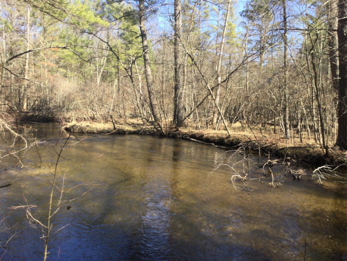 BrayCreekBaldwinRiver