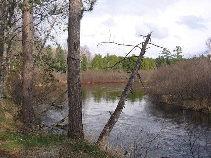 CCC State Forest Campground