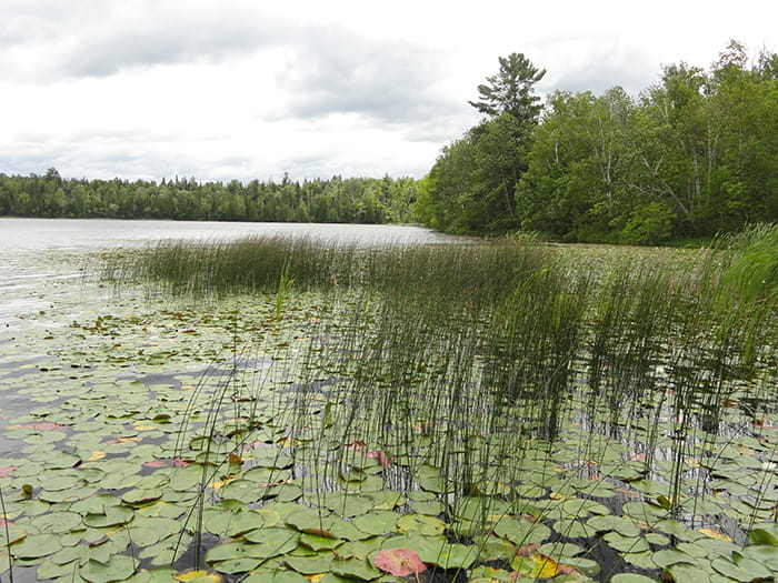 CarneyLake