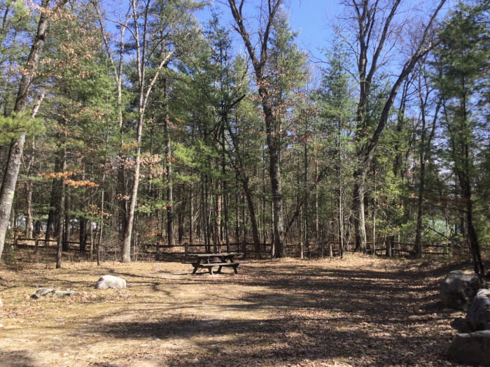 CarrievilleCampsite2