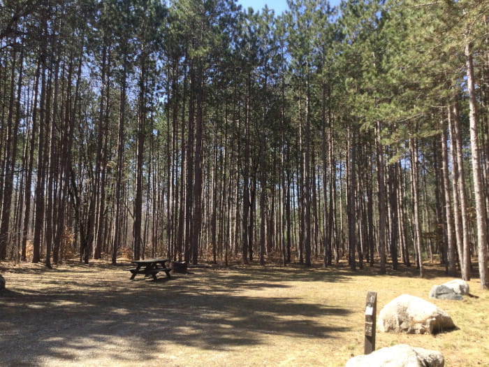 Carrieville Campsite