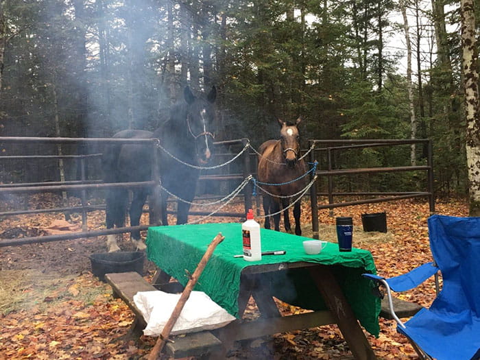 Cedar  River North  State Forest Equestrian Campground