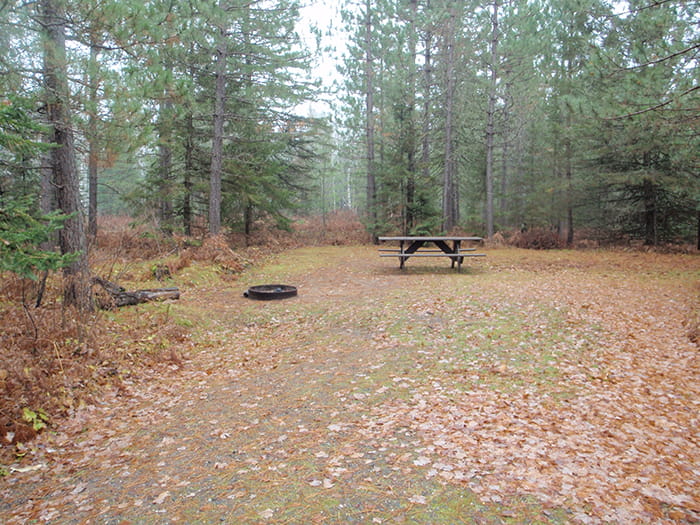 Deer Lake