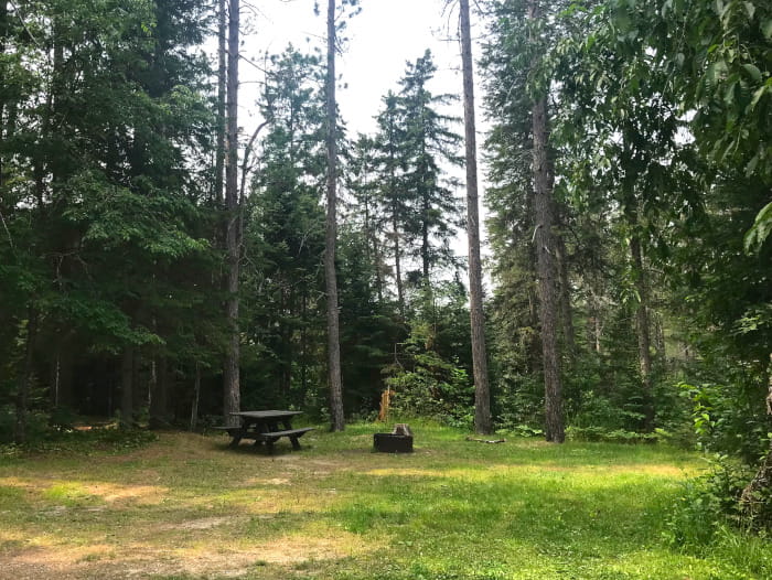 EastBranchCampsite