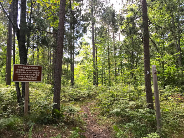 ElkHillRiverTrailhead