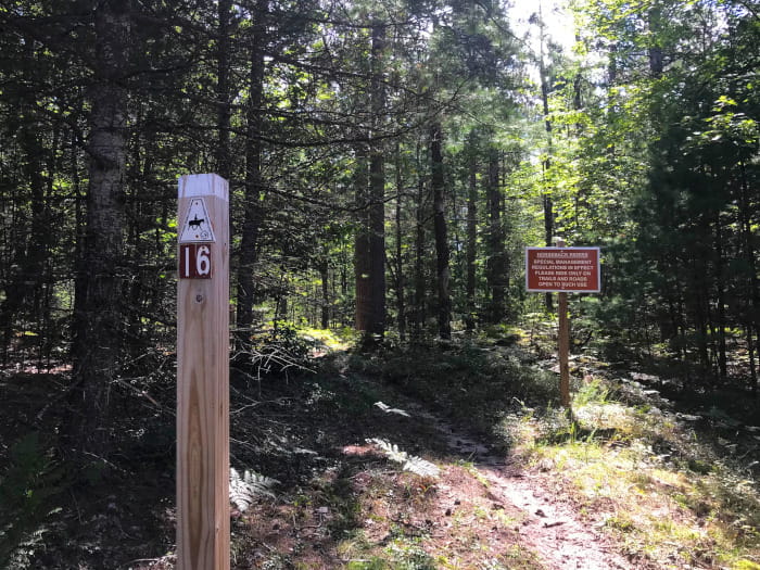 ElkHillGroupTrailhead
