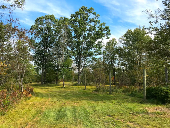 4MileTrailCamp