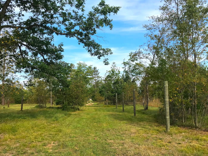 4MileTrailCamp2