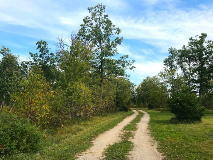 4MileTrailCamp5