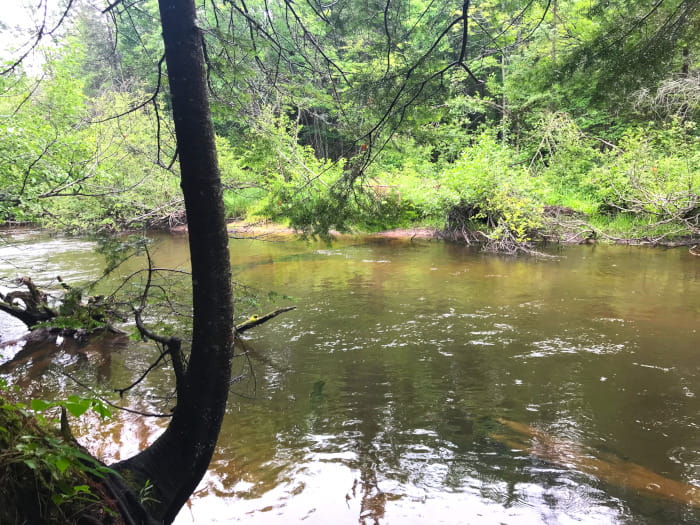 FoxRiver