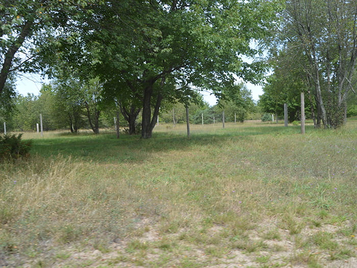 Garey Trail