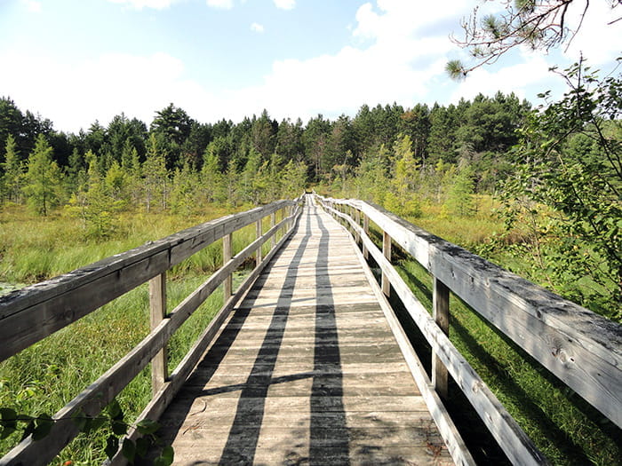Glidden Lake Mary Plains footbridge