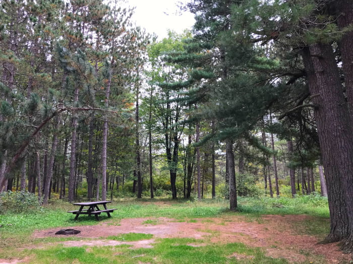 GooseCreekCampsite1