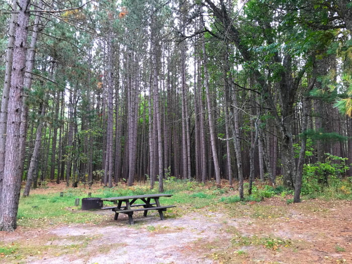 GooseCreekCampsite3
