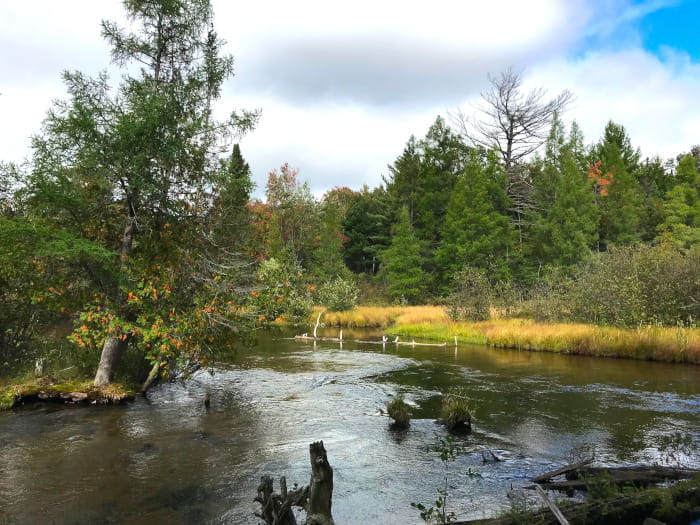 Goose Creek