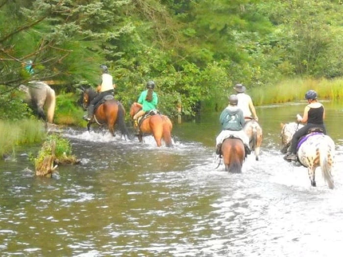 Goose Creek Equestrian
