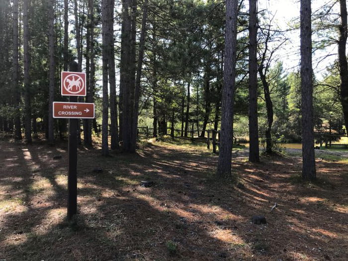 Goose Creek horse crossing 2