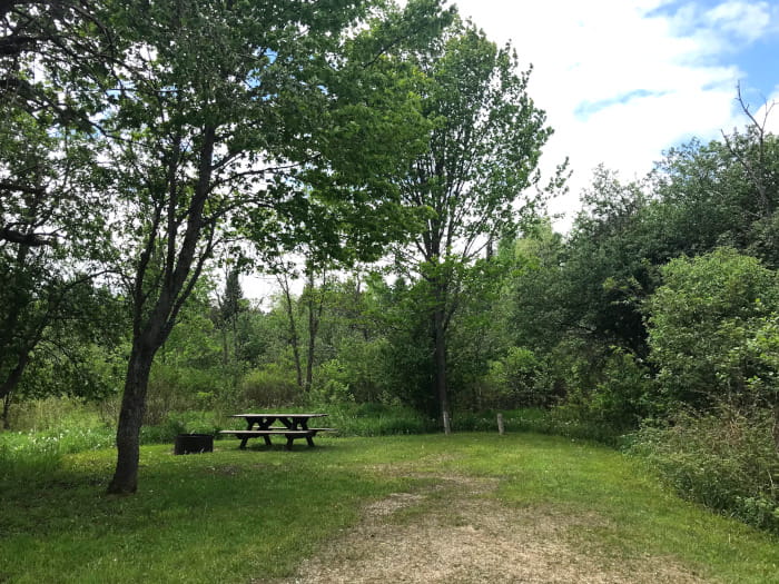 HaakwoodCampsite3