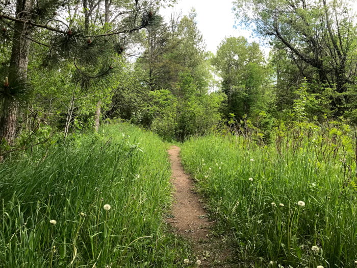 HaakwoodFoothpath