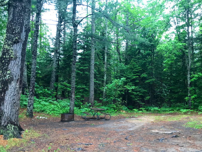 HighBridgeCampsite2