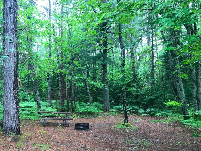 High Bridge Campsite
