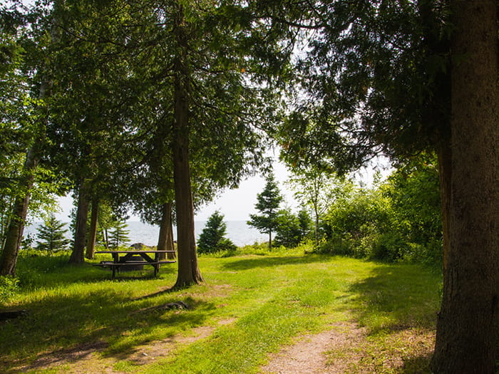 hogisland1