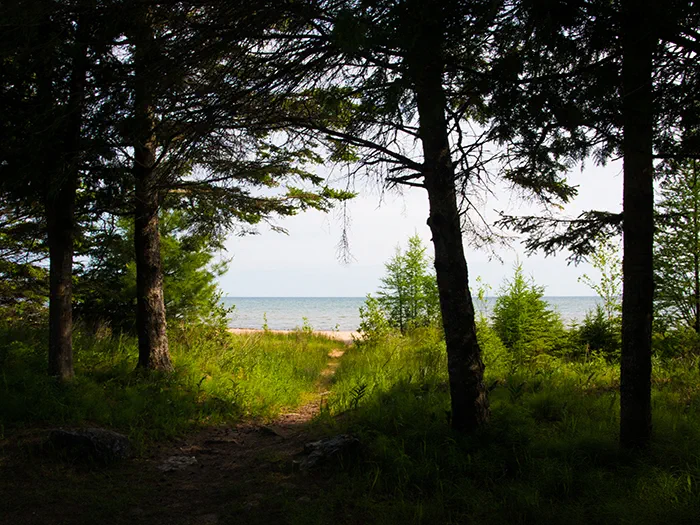 hogisland3