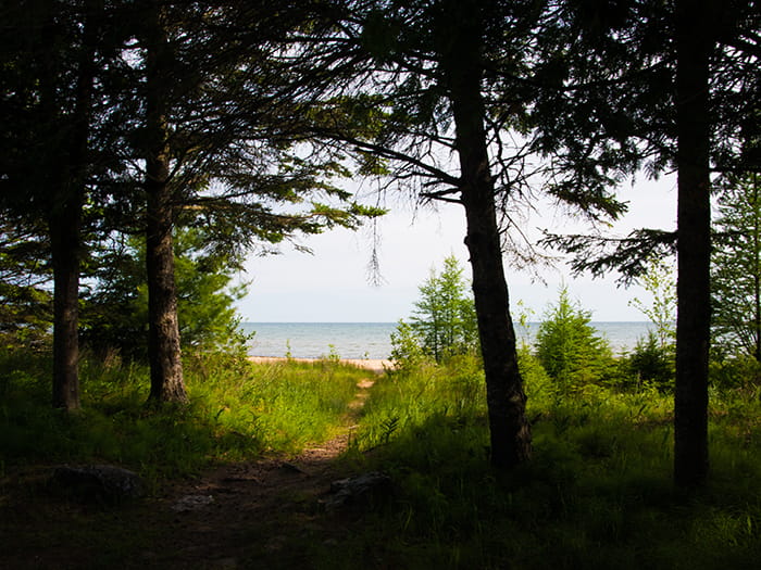 hogisland3