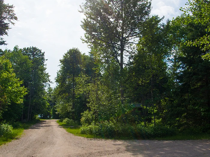 hogisland5