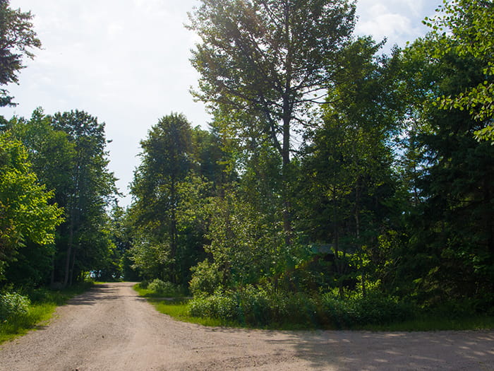 hogisland5