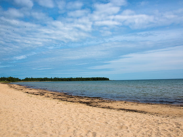 hogisland7