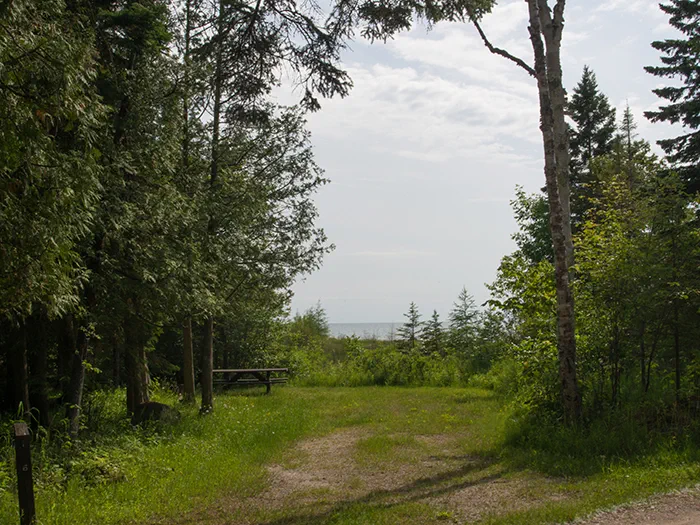 hogisland8