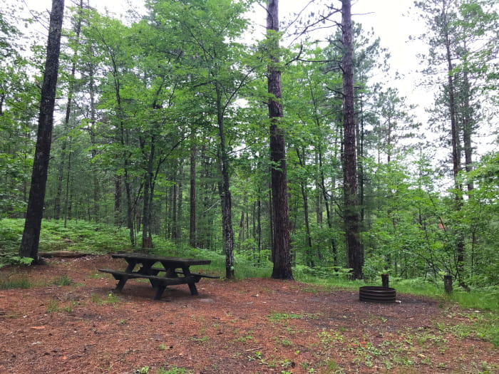Holland Lake Campsite