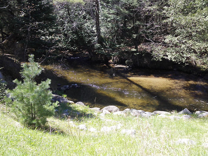 Hopkins Creek river