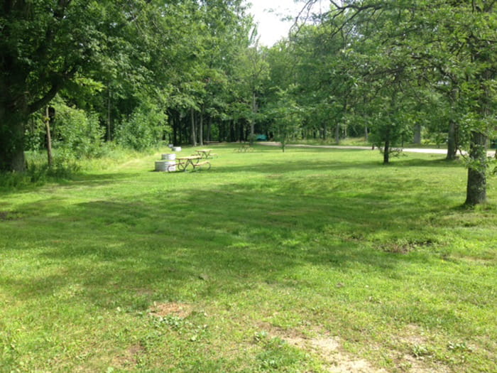 Site view