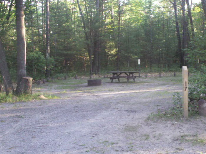 Jackson Lake campsite