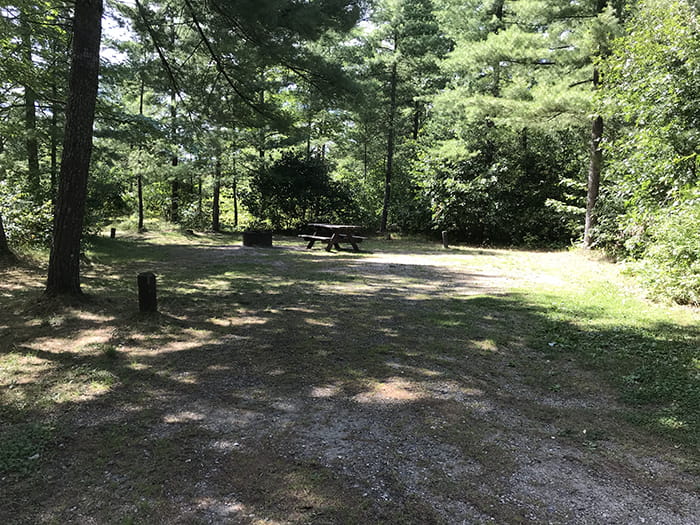 Jones Lake site