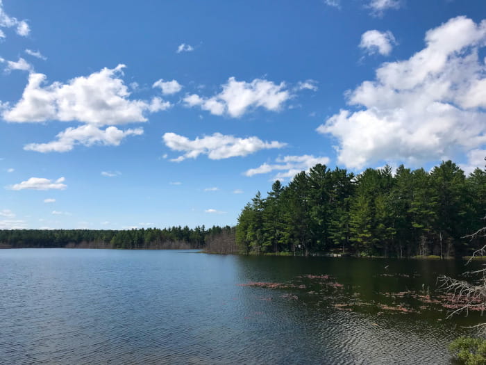 Kingston Lake view