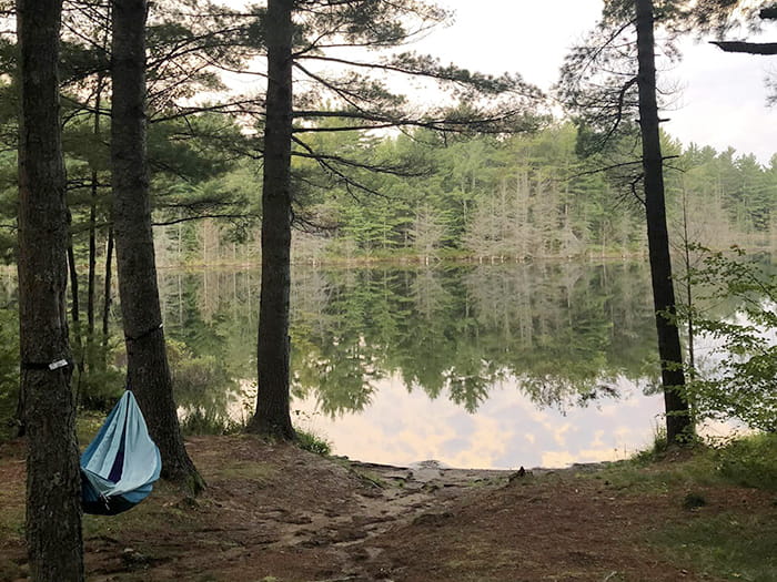 hammock between trees with lake in background