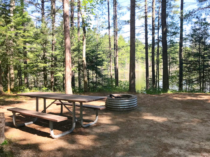 picnic table and fire pit