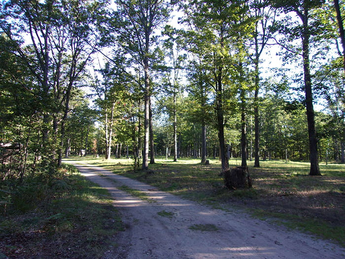 Dubonnet Trail road