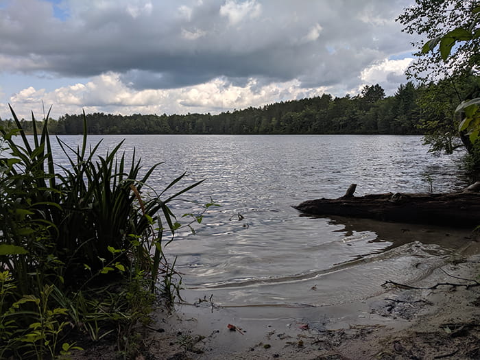 Lake Marjory 2