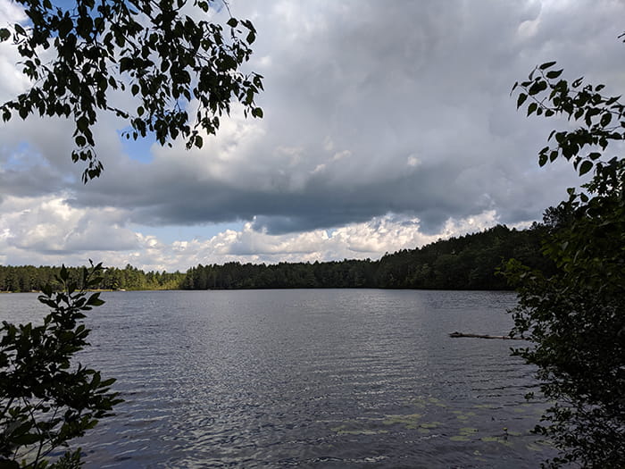 Lake Marjory