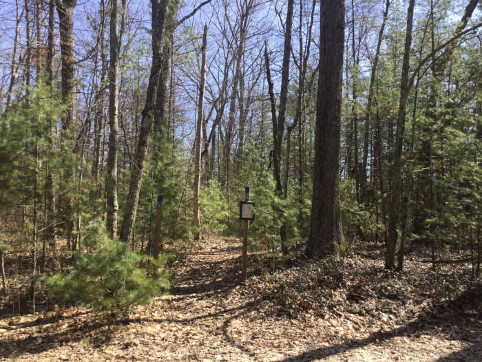 SheepRanchPathwayAccess