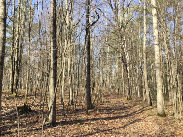 LincolnBridgeCampgroundtrail2