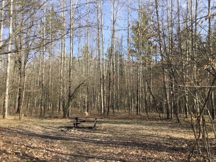 LincolnBridgeCampsite