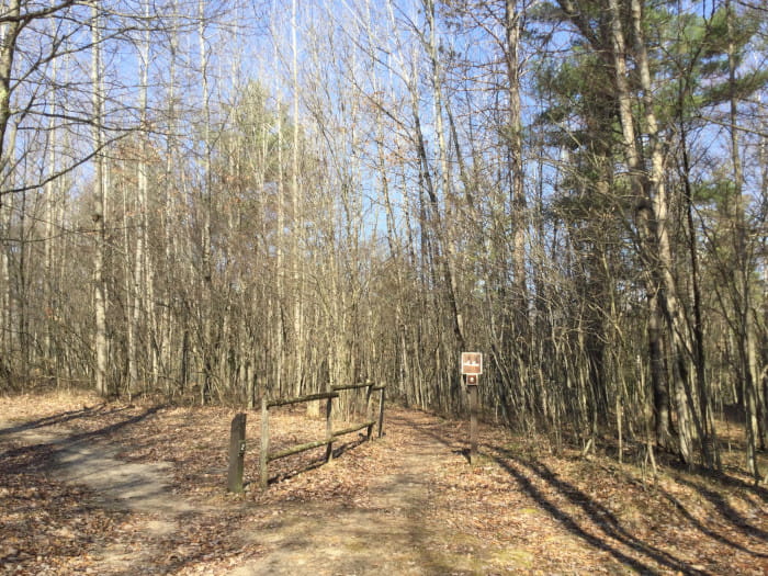 Lincoln Bridge Campground trail