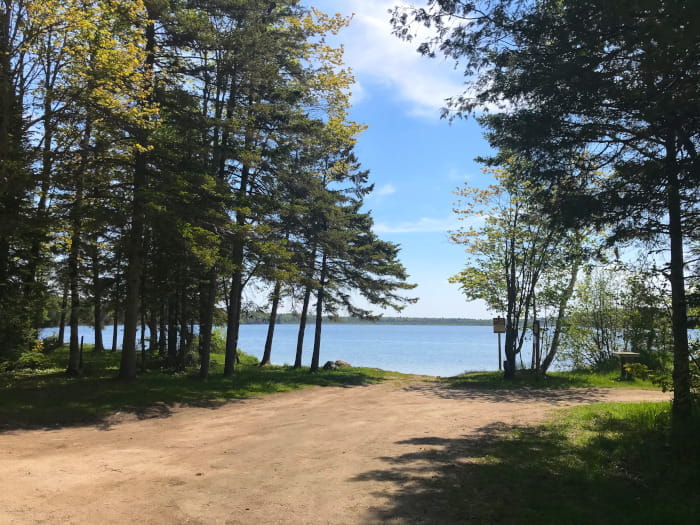 LittleBrevortLakeBAS