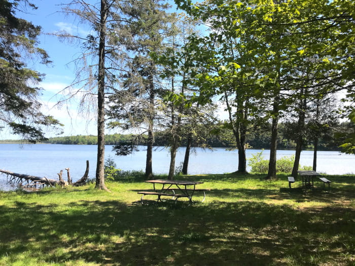 Little Brevort Lake picnic